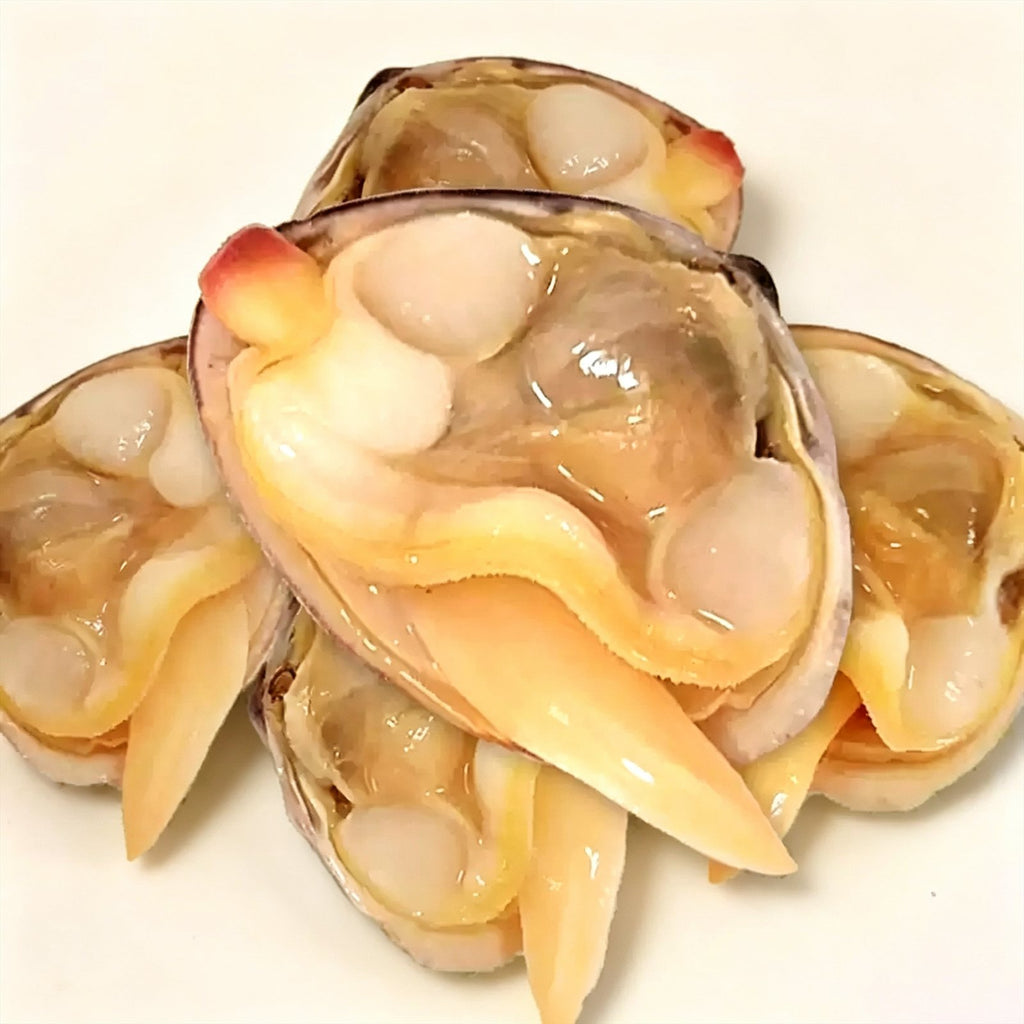 Live Dandong Large Yellow Clams