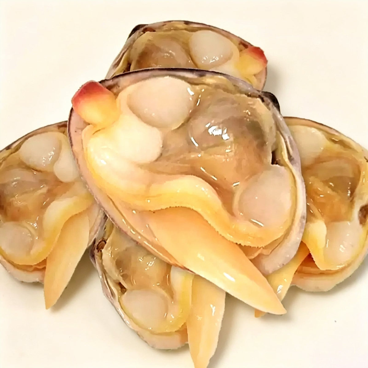 Live Dandong Large Yellow Clams