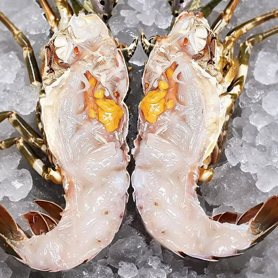 Lobster