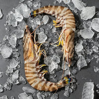 Frozen Raw Tiger Prawns