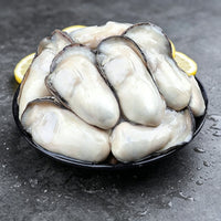 Frozen Pre-Shucked Oyster Meat