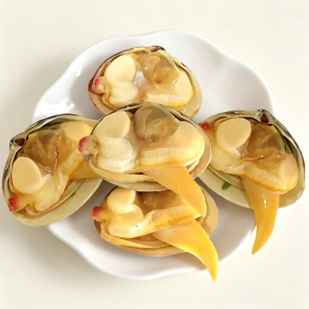 Live Dandong Large Yellow Clams