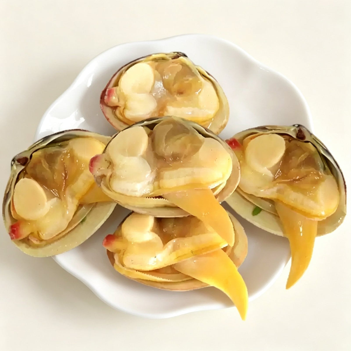 Live Dandong Large Yellow Clams